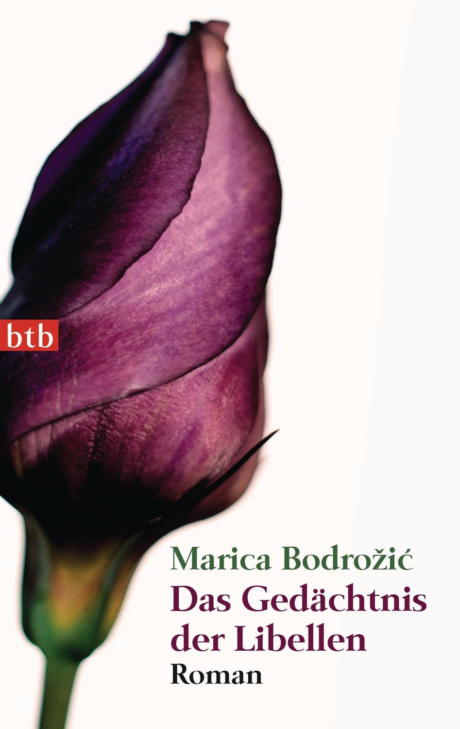 Cover: 9783442743872 | Das Gedächtnis der Libellen | Marica Bodrozic | Taschenbuch | btb