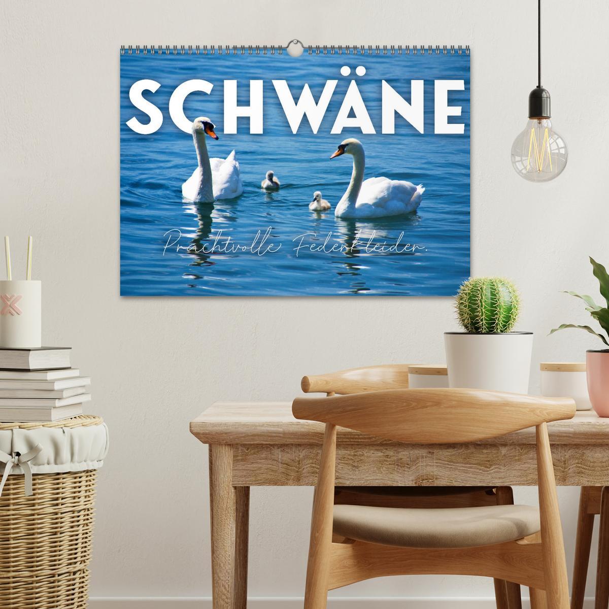 Bild: 9783383934452 | Schwäne - Prachtvolle Federkleider. (Wandkalender 2025 DIN A3...