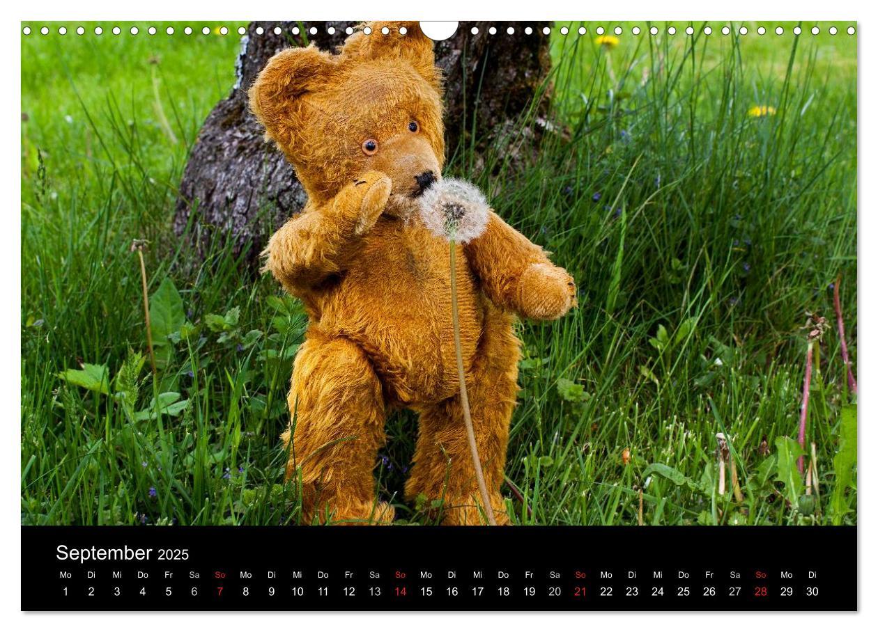 Bild: 9783435674084 | Teddy Basse, Fortsetzung... (Wandkalender 2025 DIN A3 quer),...