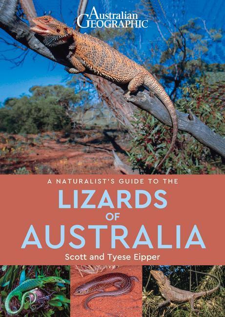 Cover: 9781913679064 | A Naturalist's Guide to the Lizards of Australia | Eipper (u. a.)