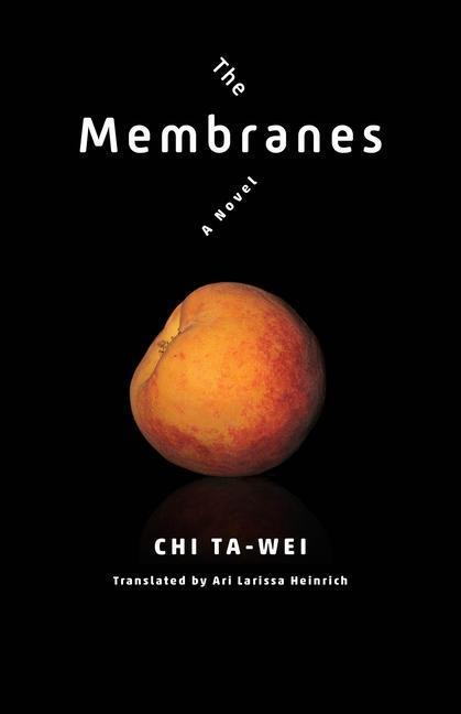 Cover: 9780231195713 | The Membranes | A Novel | Ta-Wei Chi | Taschenbuch | Englisch | 2021