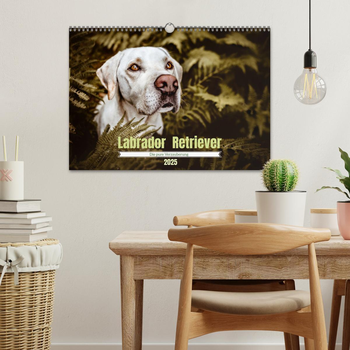 Bild: 9783435018505 | Verzauberung Labrador Retriever 2025 (Wandkalender 2025 DIN A3...