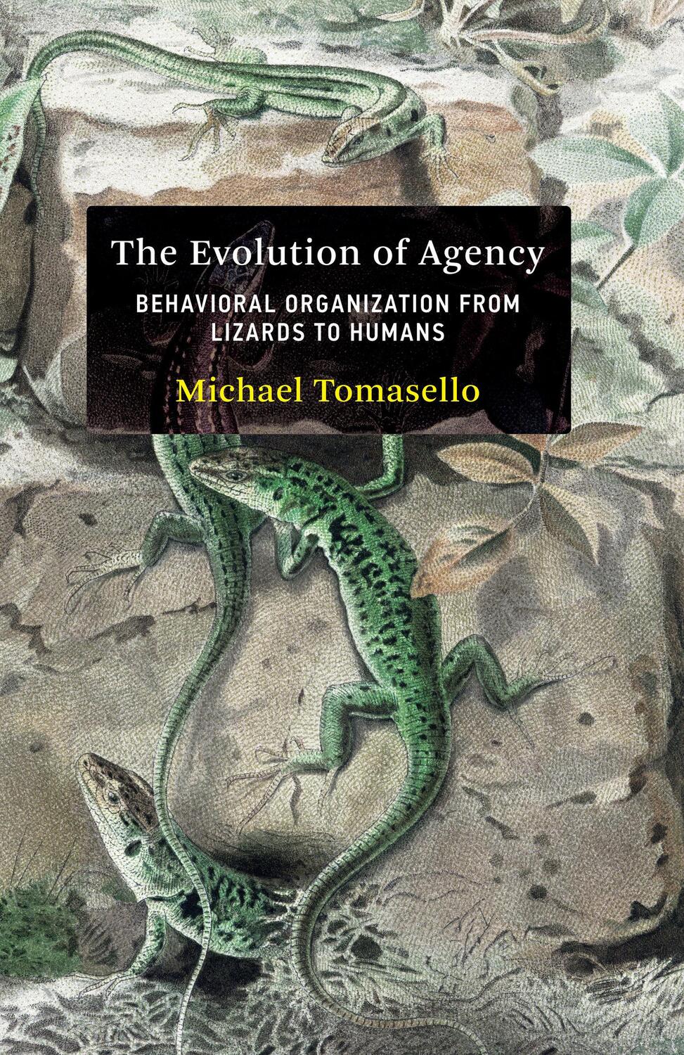 Cover: 9780262047005 | The Evolution of Agency | Michael Tomasello | Buch | Englisch | 2022