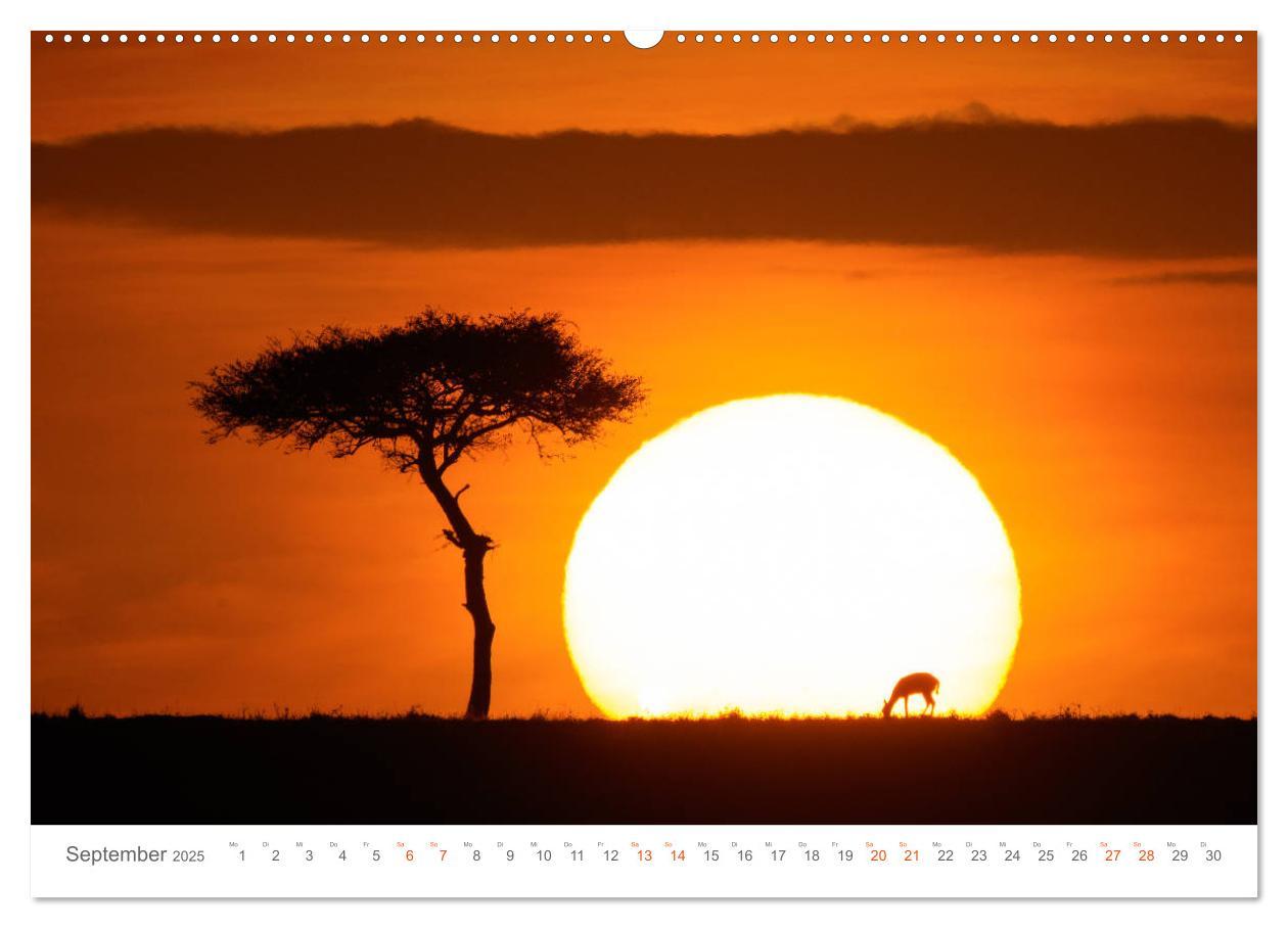 Bild: 9783435291458 | Safari Kenia (Wandkalender 2025 DIN A2 quer), CALVENDO Monatskalender