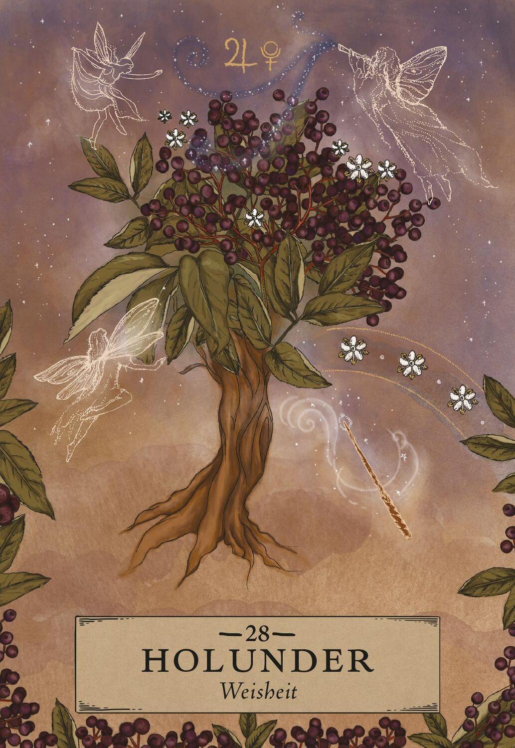 Bild: 9783868267990 | Herbal Astrology Orakel: 55 Karten mit Botschaften und Anleitungen