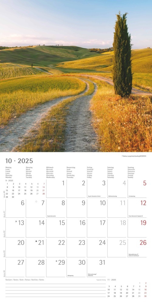 Bild: 4251732340919 | Alpha Edition - Wege 2025 Broschürenkalender, 30x30cm, Wandkalender...