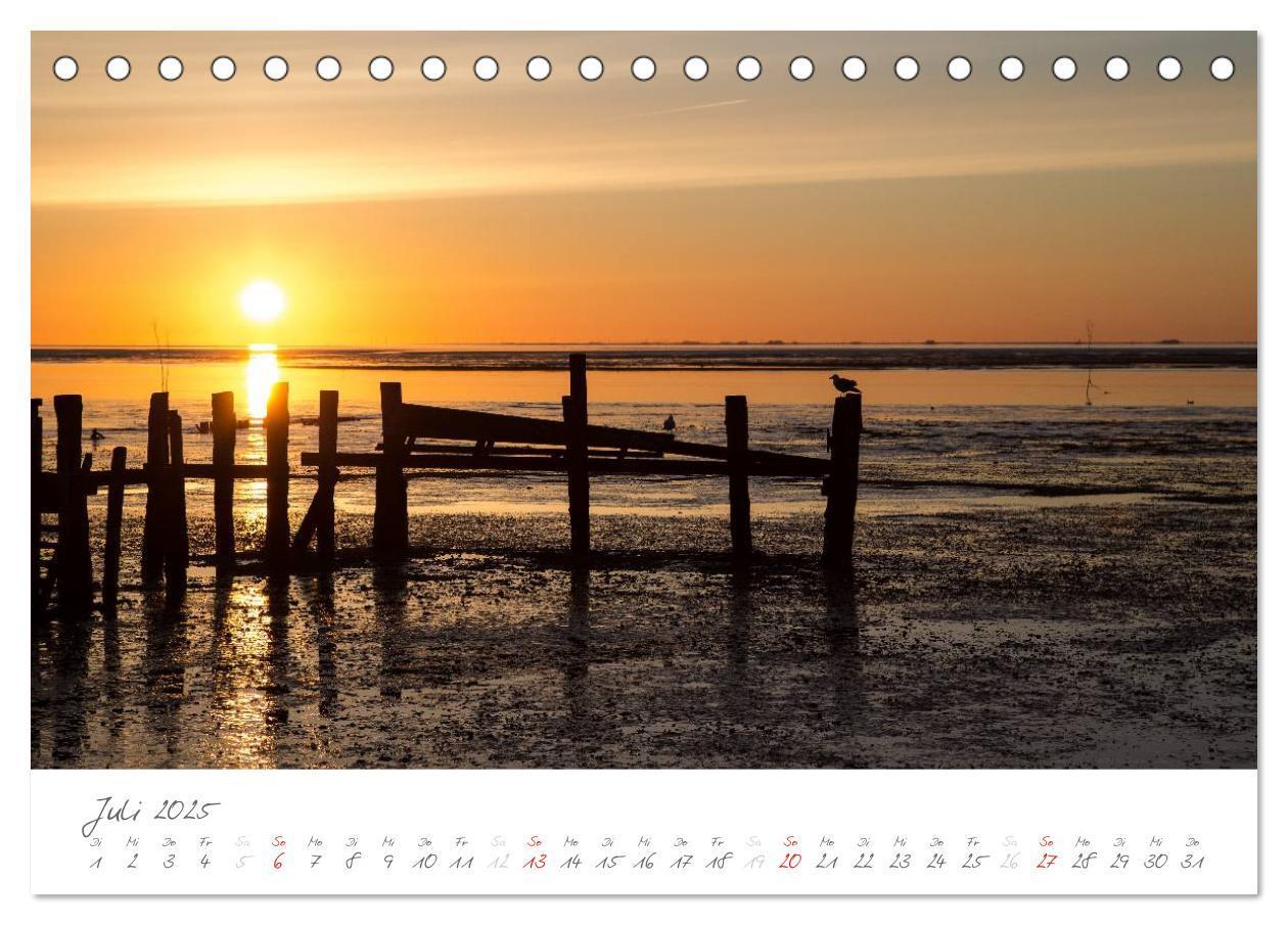 Bild: 9783435600427 | Amrum - Eine farbenfrohe Insellandschaft (Tischkalender 2025 DIN A5...