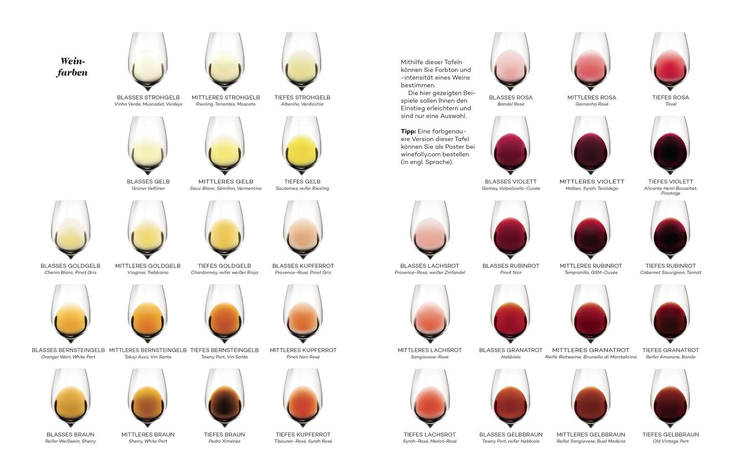 Bild: 9783453207264 | Der Master-Wein-Guide | Madeline Puckette (u. a.) | Buch | 320 S.