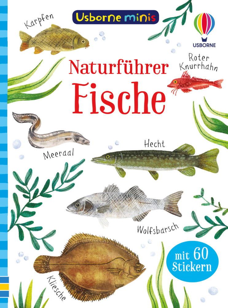 Cover: 9781789417562 | Usborne Minis Naturführer: Fische | mit 60 Stickern | Kate Nolan