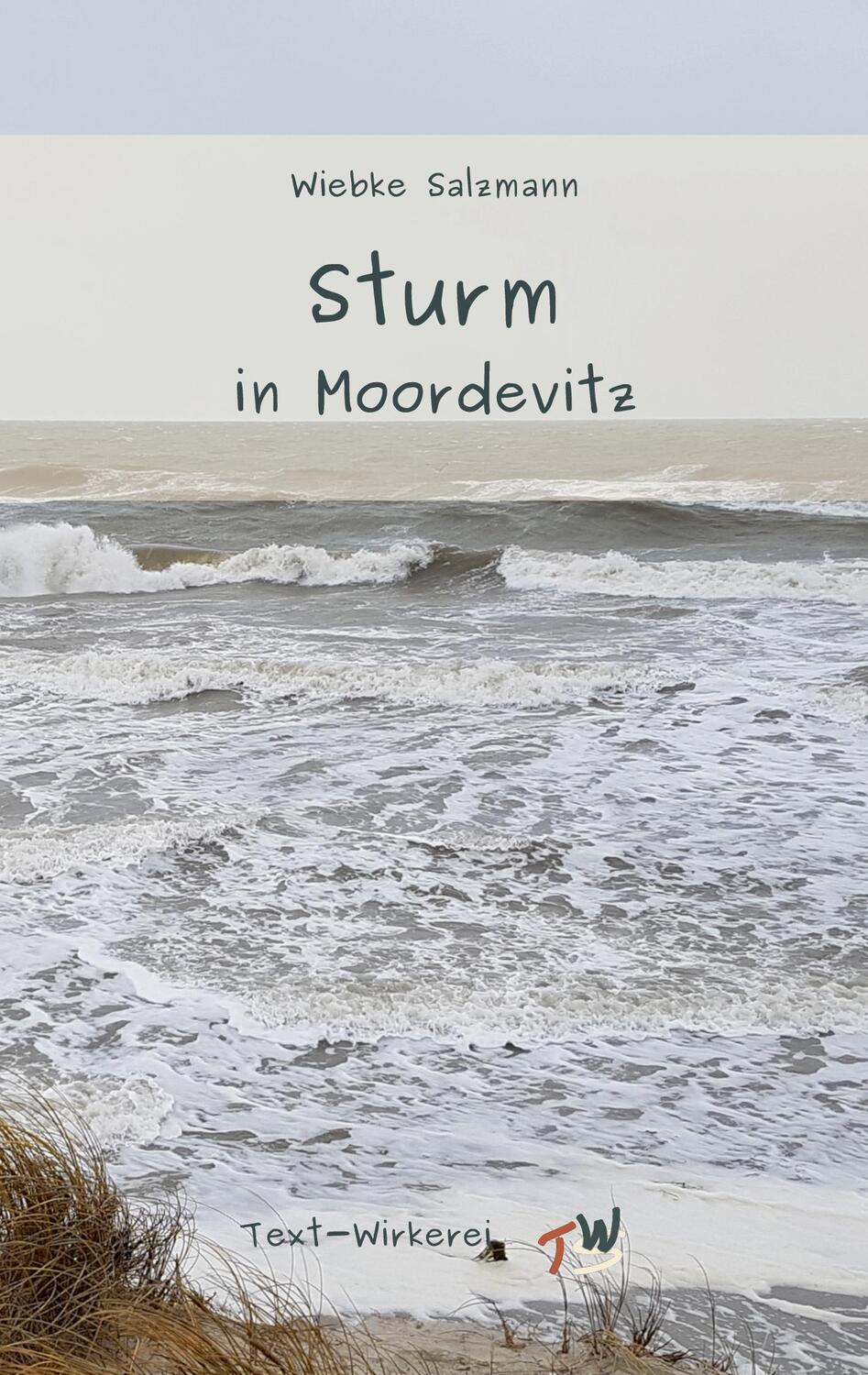 Cover: 9783347922495 | Sturm in Moordevitz | Wiebke Salzmann | Taschenbuch | Moordevitz