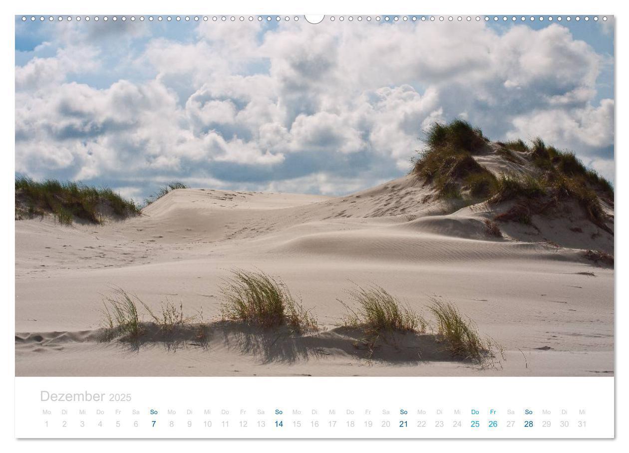 Bild: 9783435816286 | Ameland (Wandkalender 2025 DIN A2 quer), CALVENDO Monatskalender