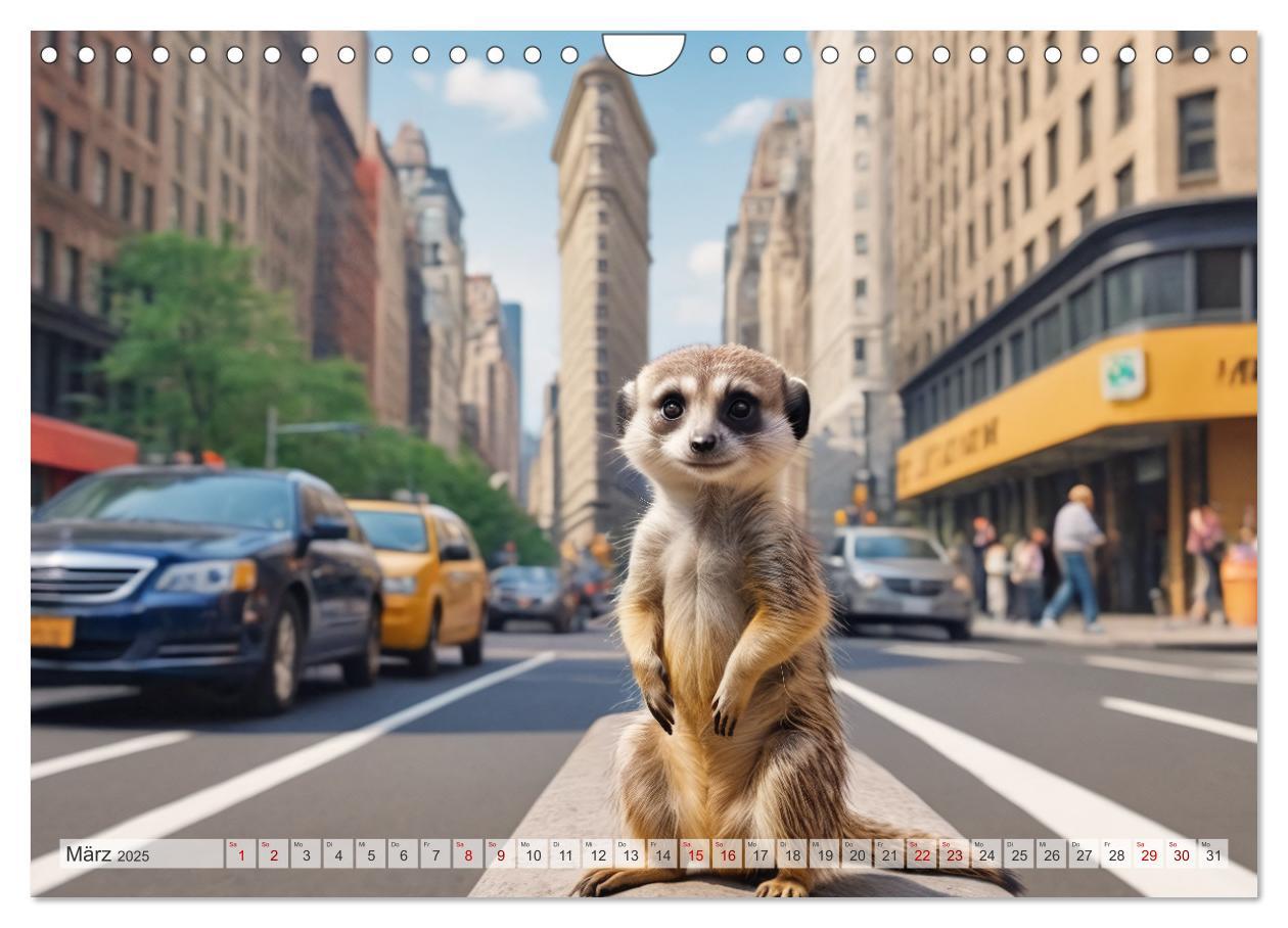 Bild: 9783383797880 | Erdmännchen in New York City (Wandkalender 2025 DIN A4 quer),...