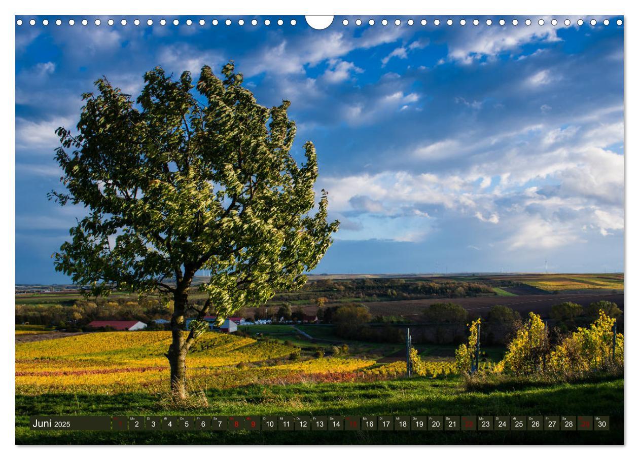 Bild: 9783435337705 | Wein - Landschaften (Wandkalender 2025 DIN A3 quer), CALVENDO...