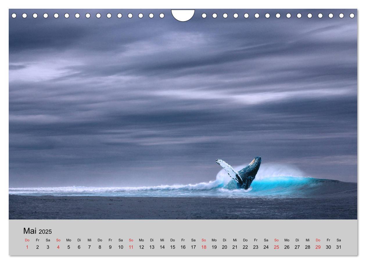 Bild: 9783435317776 | Am Meer. Sehnsucht Wasser (Wandkalender 2025 DIN A4 quer), CALVENDO...