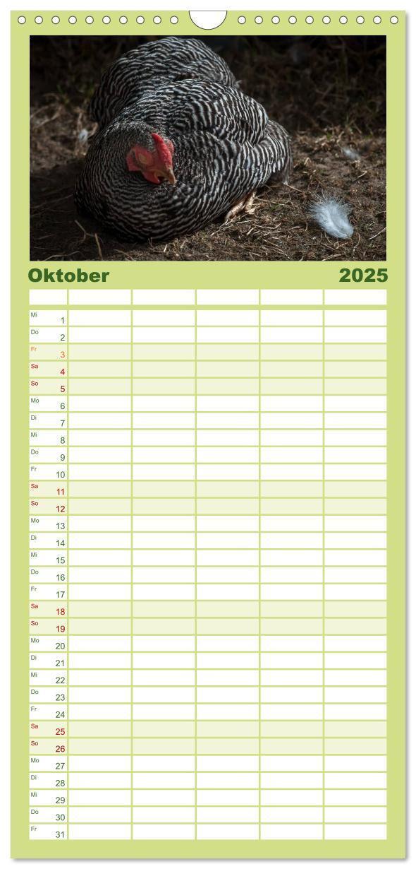 Bild: 9783457116302 | Familienplaner 2025 - Gartenhühner mit 5 Spalten (Wandkalender, 21...