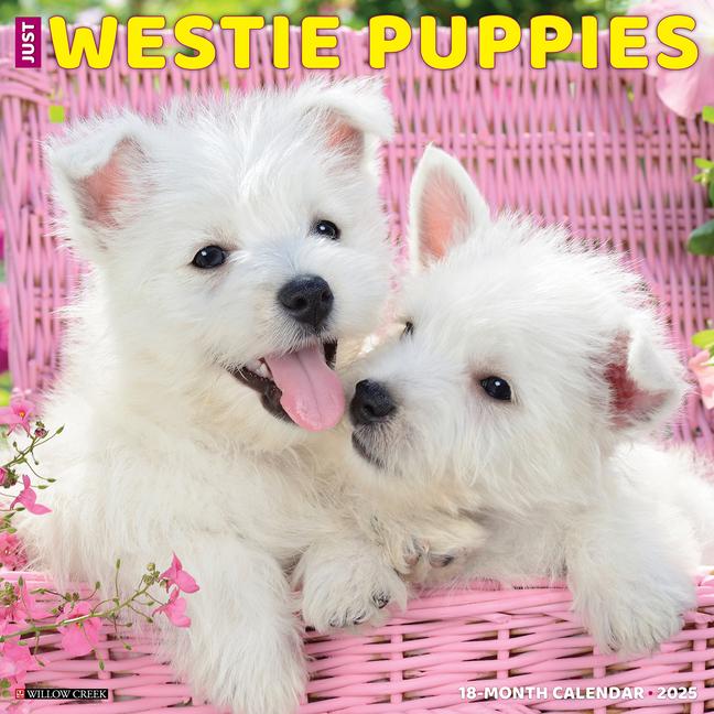 Cover: 9781549245329 | Just Westie Puppies 2025 12 X 12 Wall Calendar | Willow Creek Press