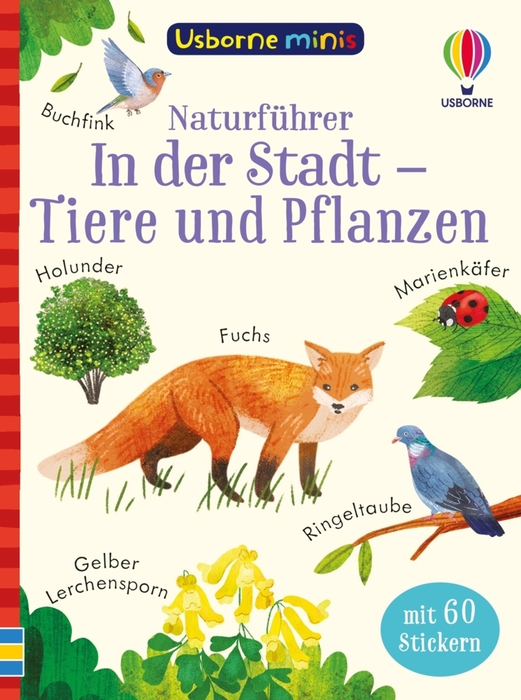Cover: 9781035701636 | Usborne Minis Naturführer: In der Stadt - Tiere und Pflanzen | Buch