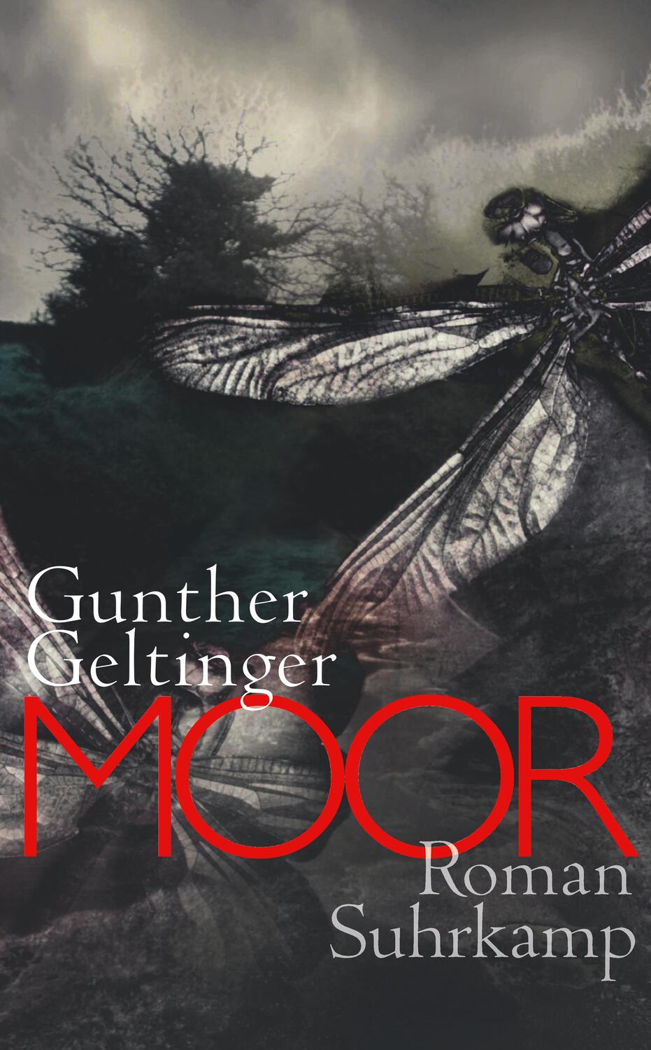 Cover: 9783518465622 | Moor | Gunther Geltinger | Taschenbuch | Deutsch | 2014 | Suhrkamp