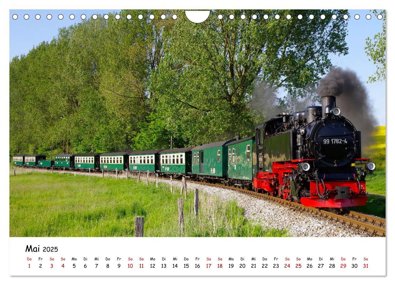 Bild: 9783383932014 | Rügens "rasender Roland" (Wandkalender 2025 DIN A4 quer), CALVENDO...