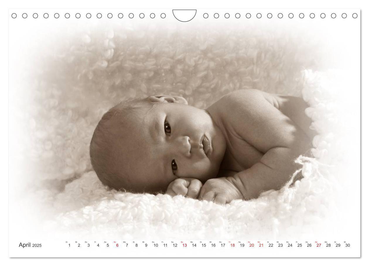 Bild: 9783435707362 | Babys - Willkommen im Leben (Wandkalender 2025 DIN A4 quer),...