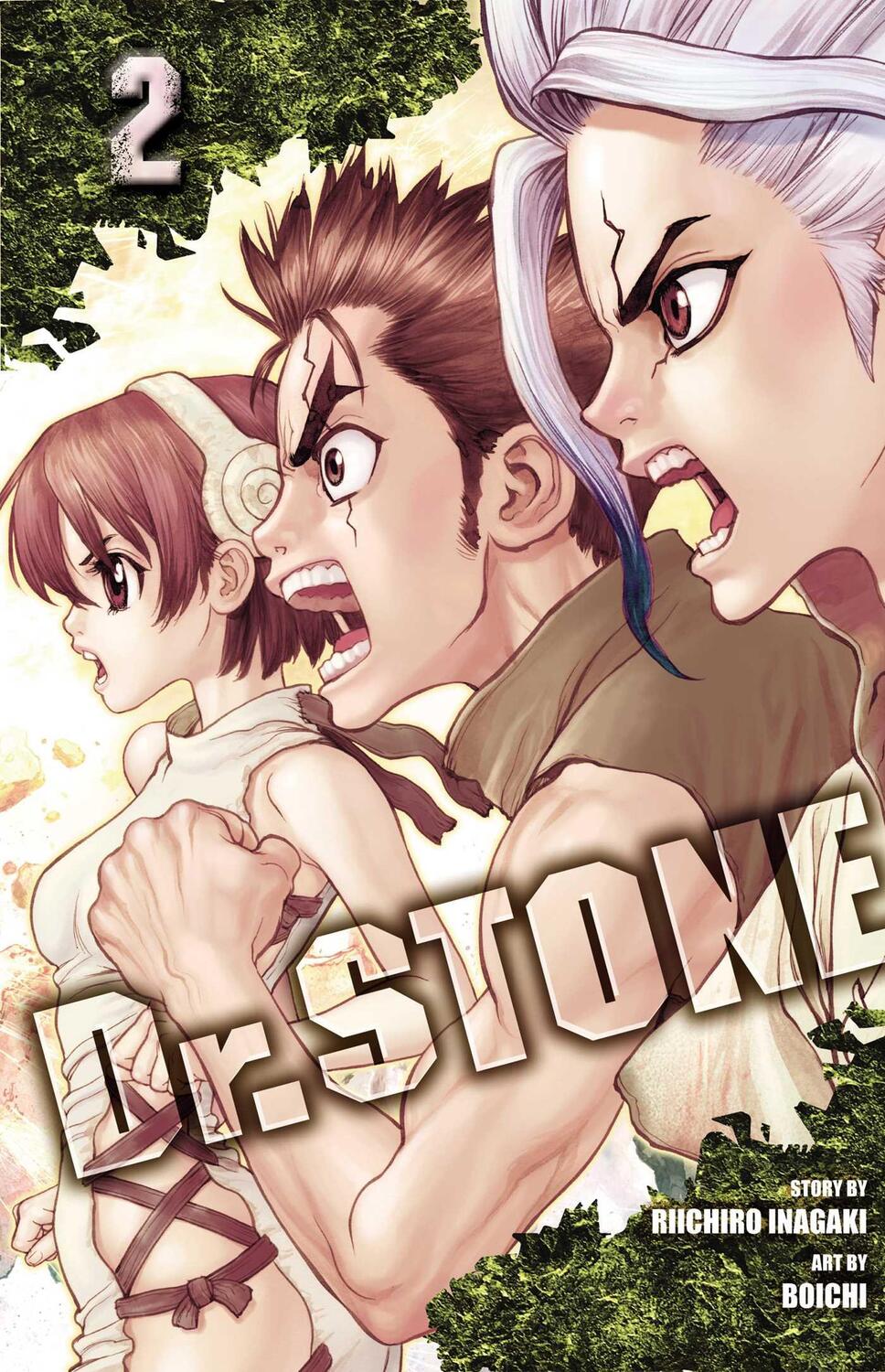 Cover: 9781974702626 | Dr. STONE, Vol. 2 | Two Kingdoms Of The Stone World | Riichiro Inagaki