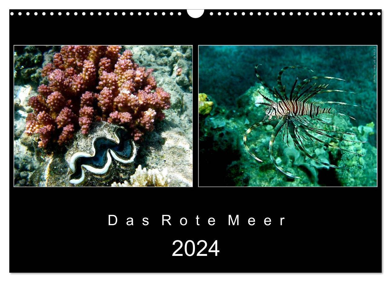 Cover: 9783675965621 | Das Rote Meer ¿ 2024 (Wandkalender 2024 DIN A3 quer), CALVENDO...