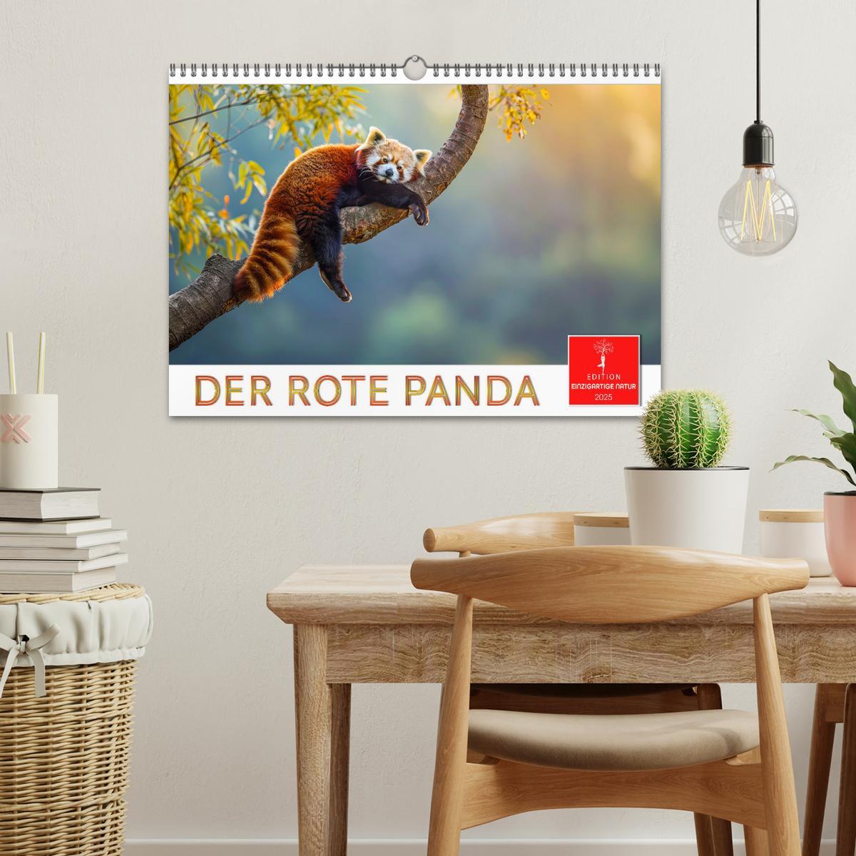 Bild: 9783457137185 | Der Rote Panda (Wandkalender 2025 DIN A3 quer), CALVENDO...