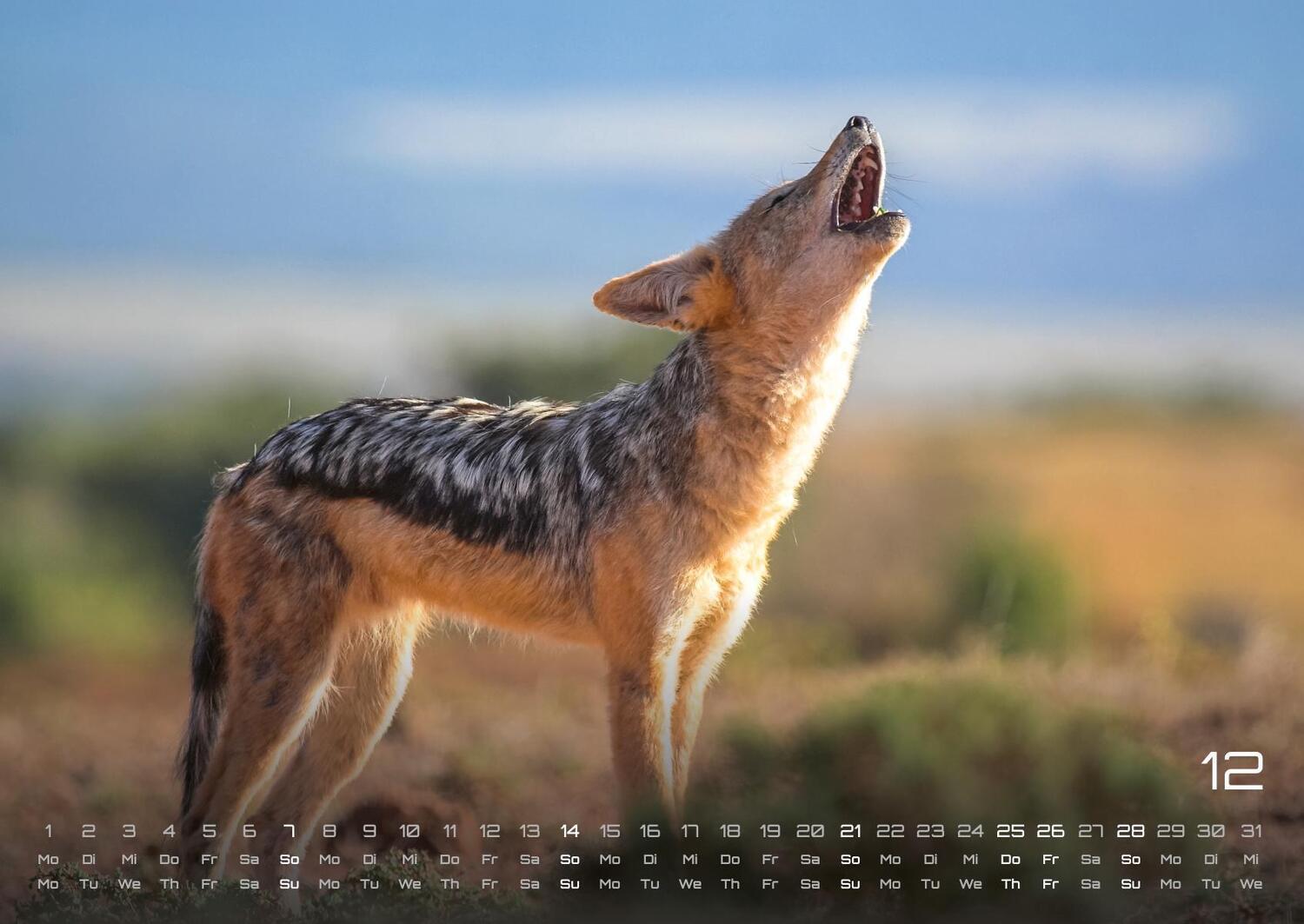 Bild: 9783986734374 | Afrikas Tierwelt - Der Tierkalender - 2025 - Kalender DIN A2 | de