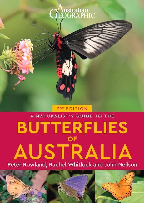 Cover: 9781913679194 | A Naturalist's Guide to the Butterflies of Australia (2nd) | Buch