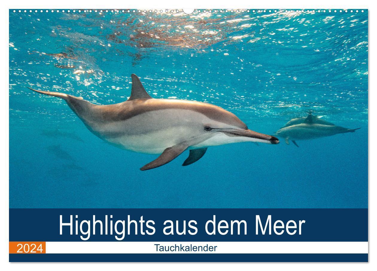 Cover: 9783675634107 | Highlights aus dem Meer - Tauchkalender (Wandkalender 2024 DIN A2...