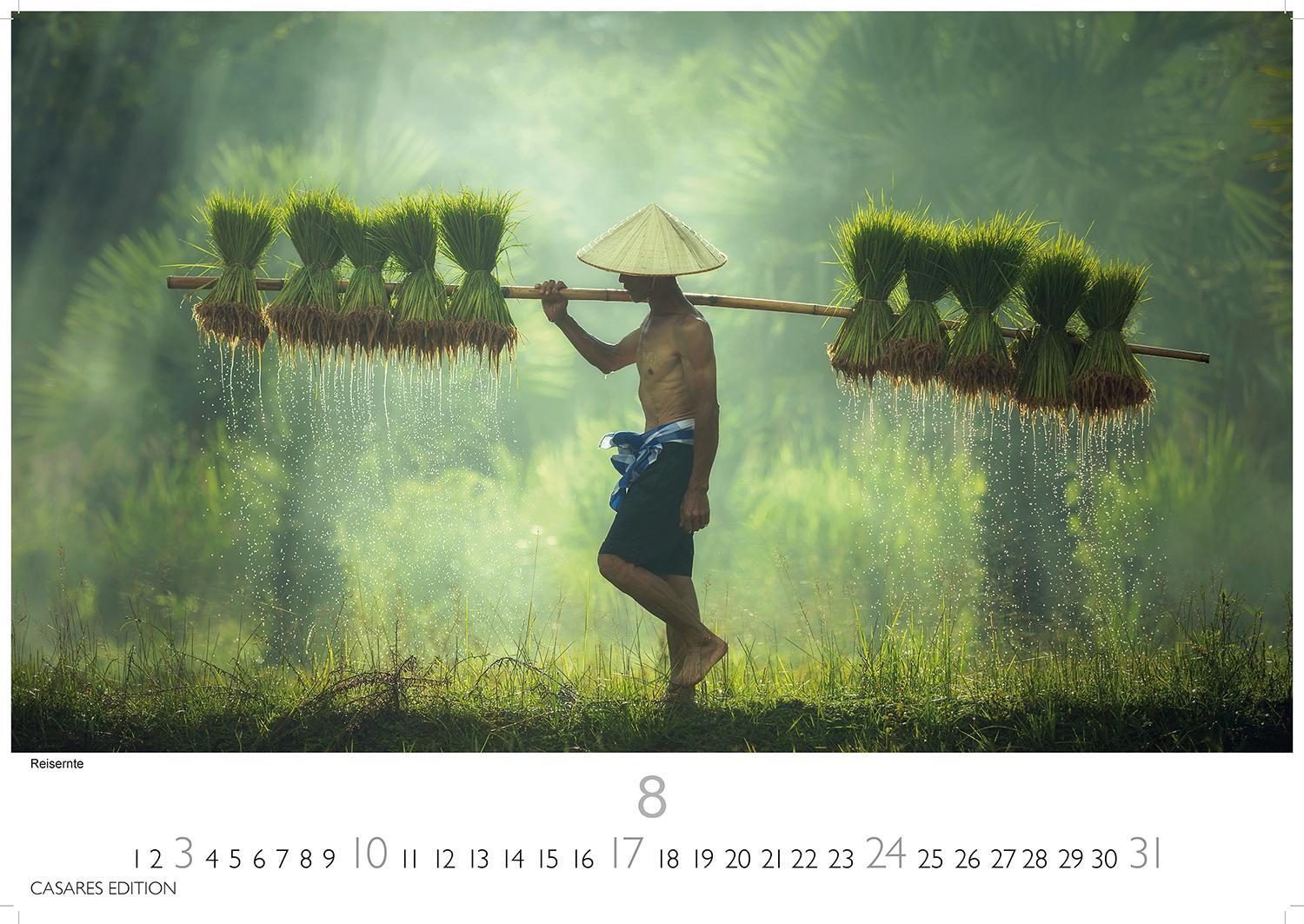 Bild: 9781835242346 | Myanmar 2025 L 35x50cm | Kalender | 14 S. | Deutsch | 2025