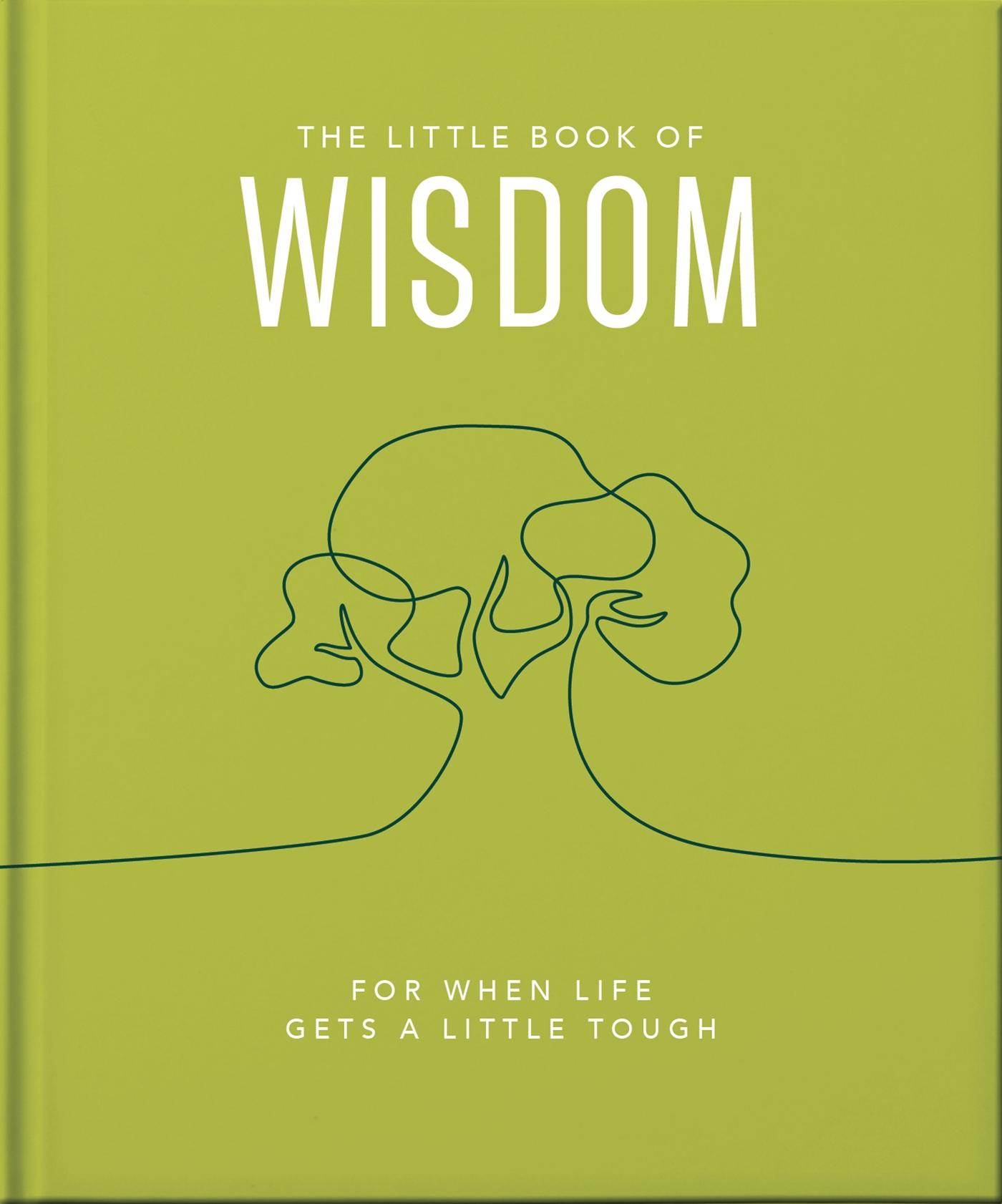 Cover: 9781800693586 | The Little Book of Wisdom | For When Life Gets a Little Tough | Hippo!