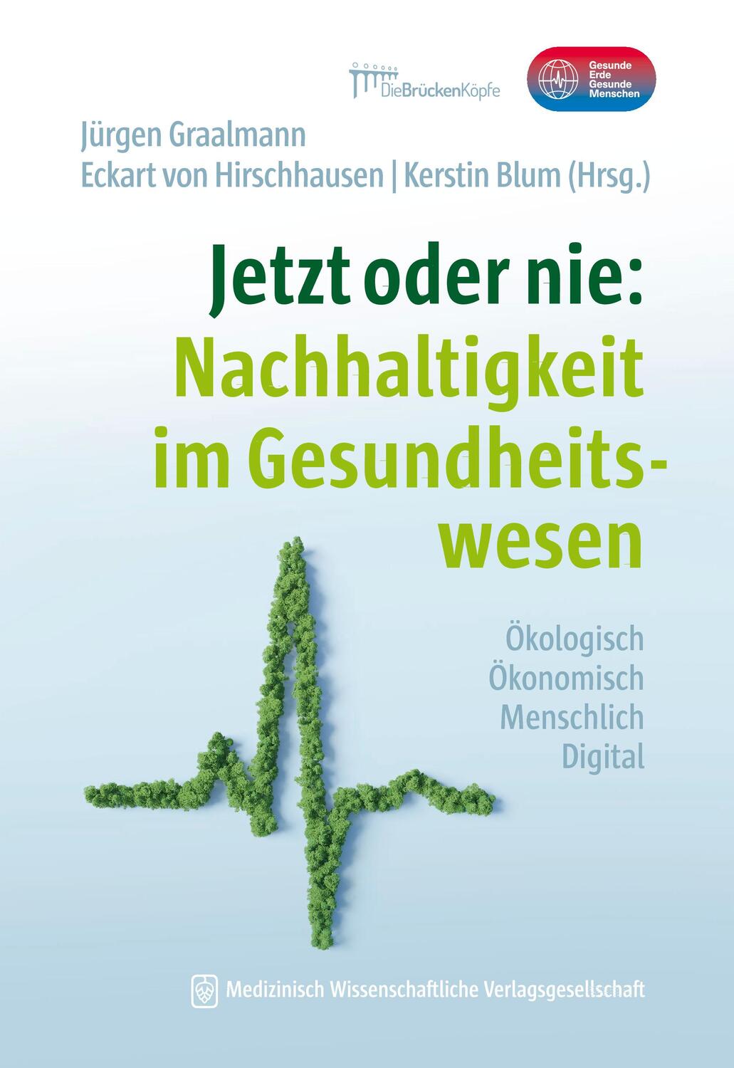 Cover: 9783954667574 | Jetzt oder nie: Nachhaltigkeit im Gesundheitswesen | Graalmann (u. a.)