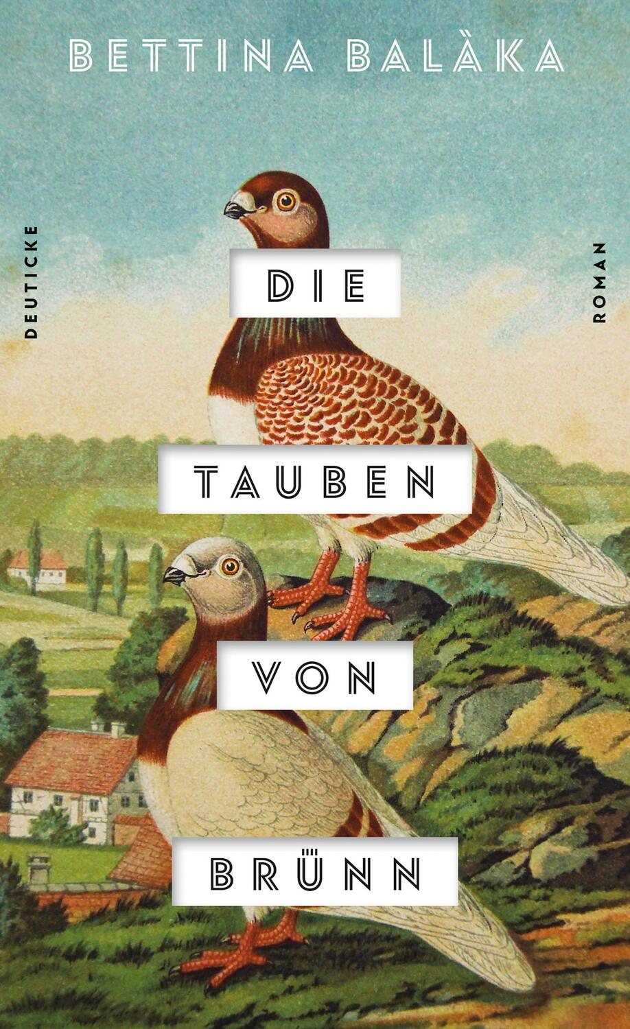 Cover: 9783552063990 | Die Tauben von Brünn | Roman | Bettina Balàka | Buch | Deutsch | 2019
