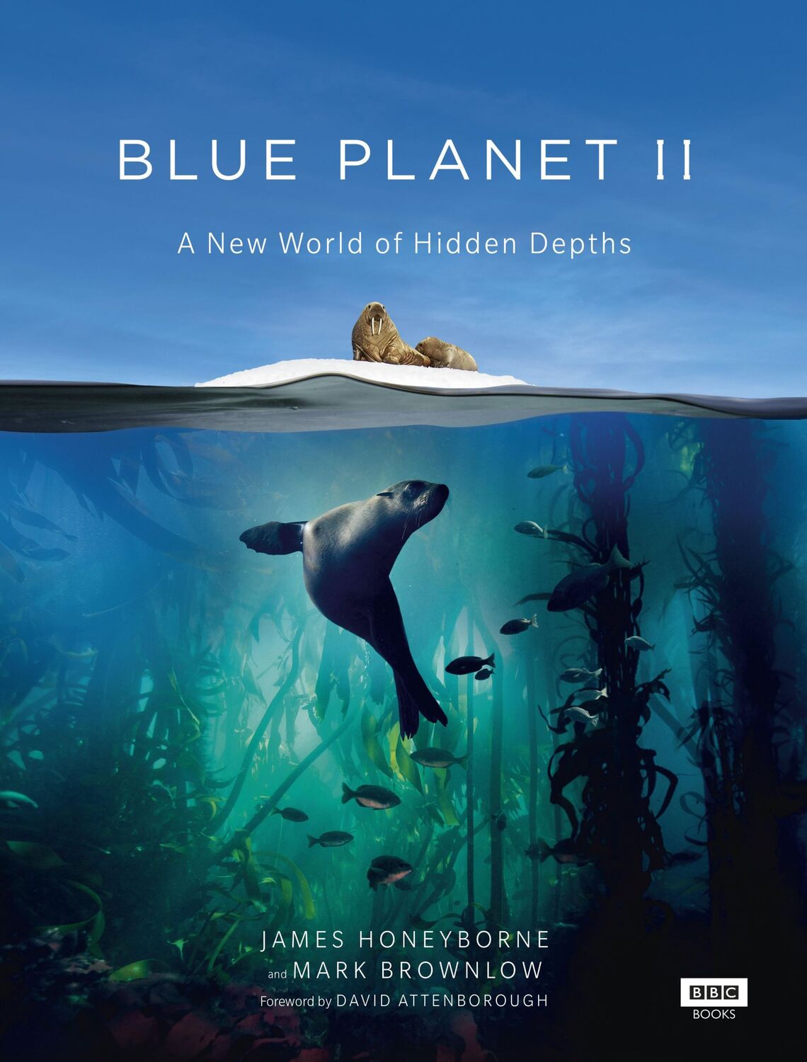 Cover: 9781849909679 | Blue Planet II | James Honeyborne (u. a.) | Buch | Gebunden | Englisch