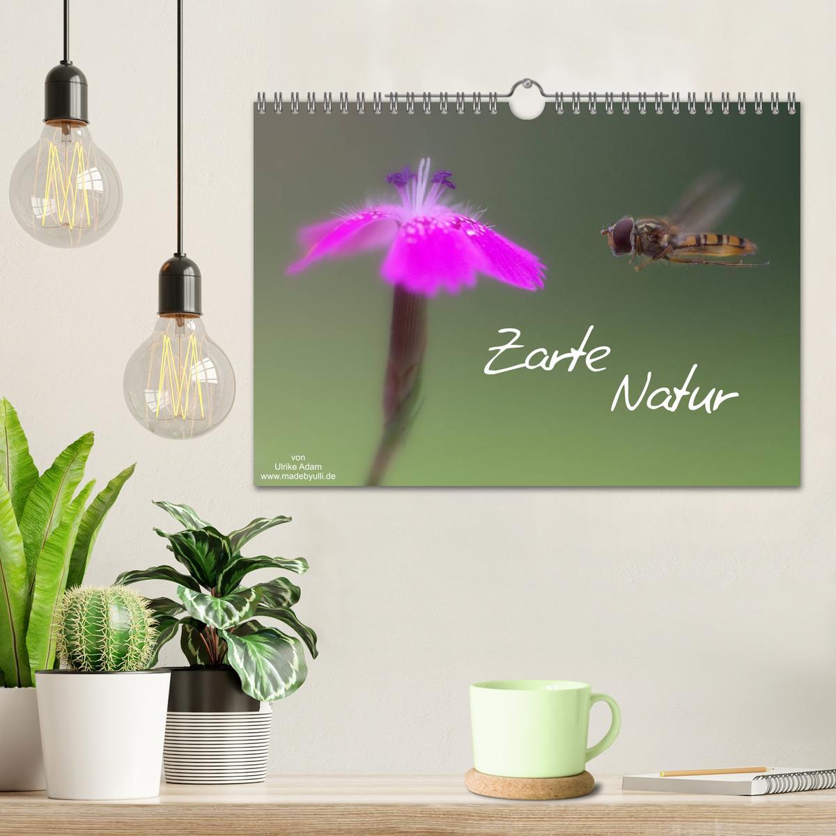 Bild: 9783435694761 | Zarte Natur 2025 (Wandkalender 2025 DIN A4 quer), CALVENDO...