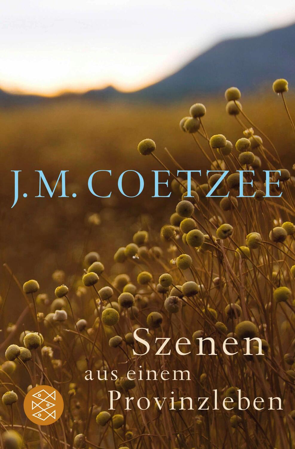 Cover: 9783596031085 | Szenen aus einem Provinzleben | J. M. Coetzee | Taschenbuch | 648 S.