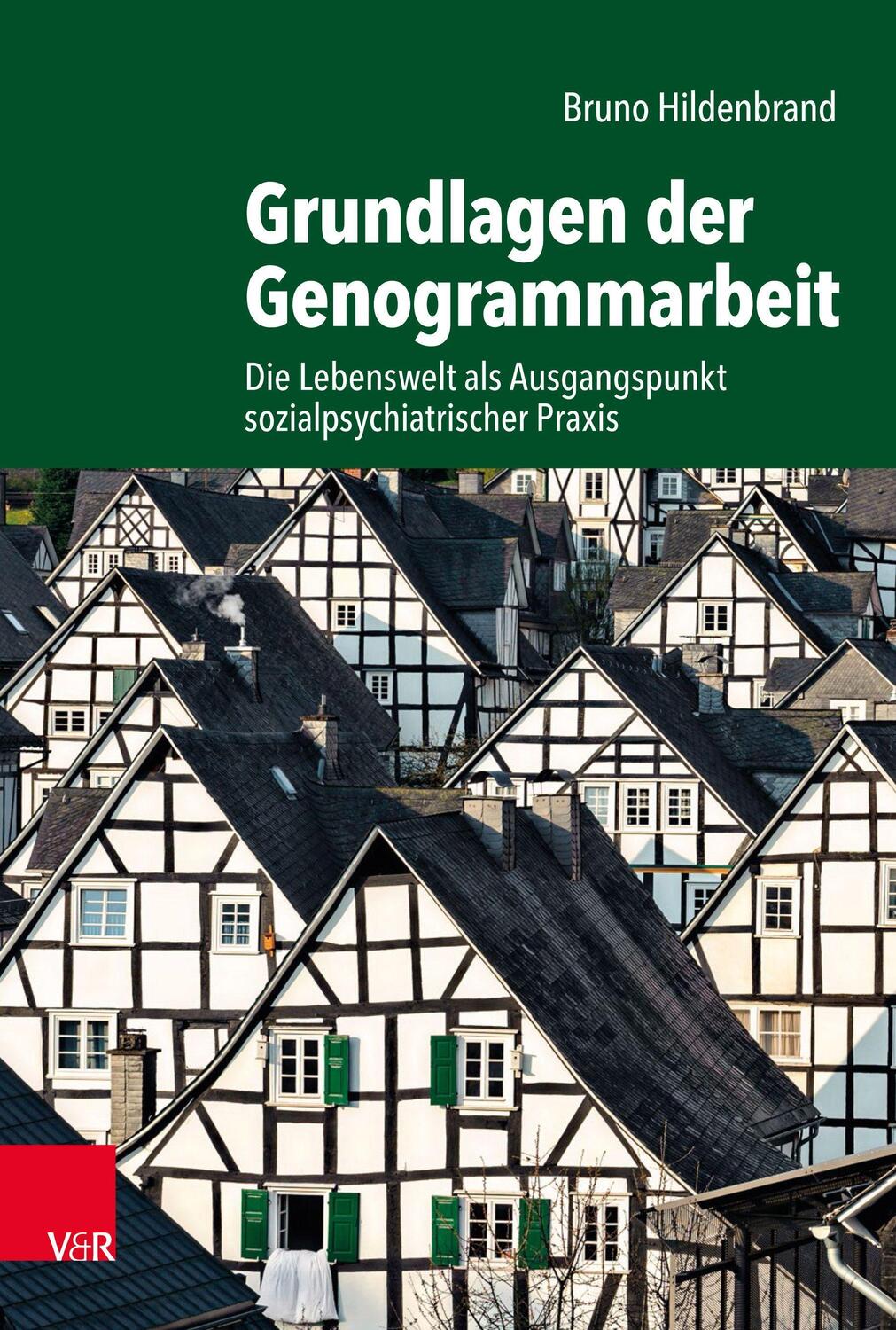 Cover: 9783525407516 | Grundlagen der Genogrammarbeit | Bruno Hildenbrand | Taschenbuch