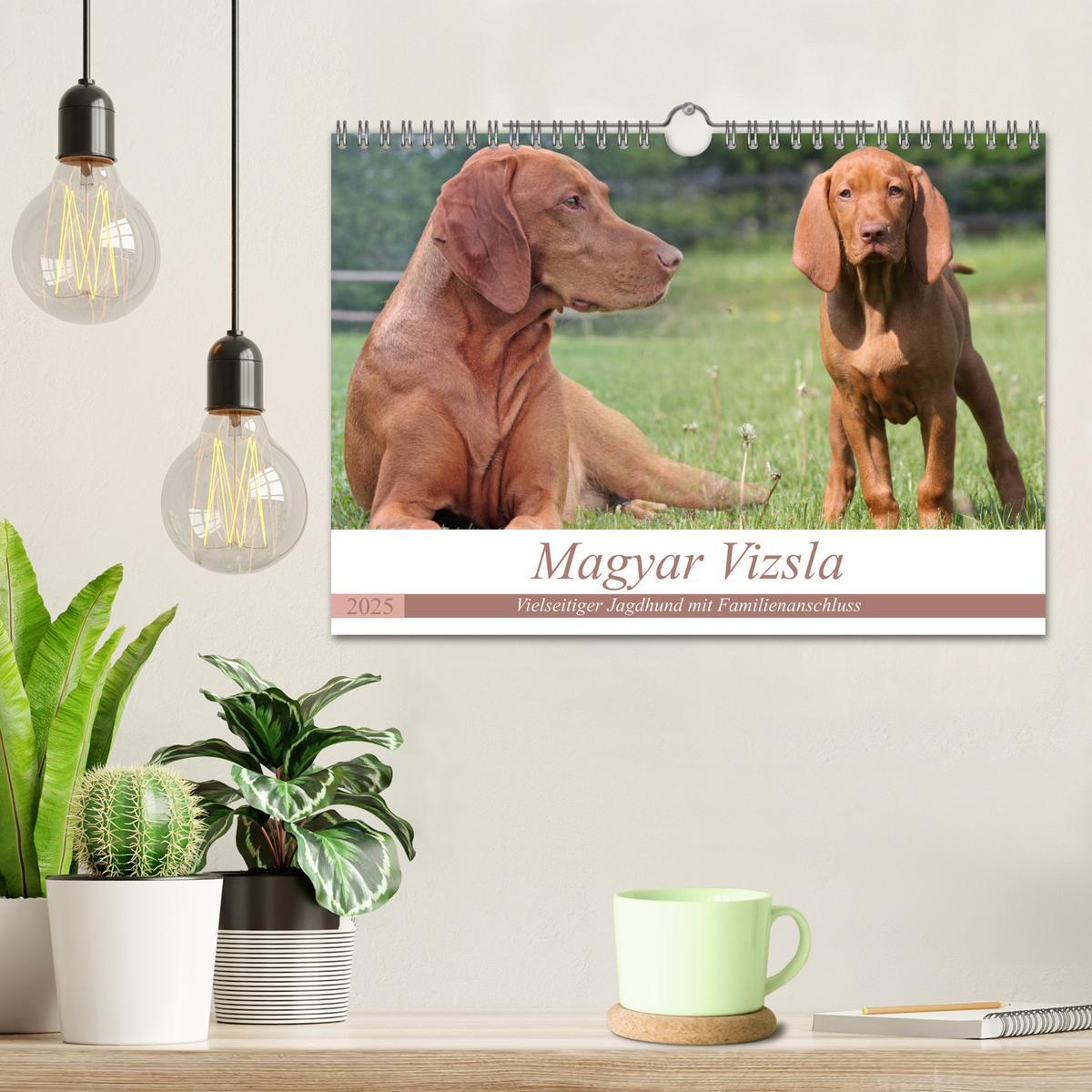 Bild: 9783435794867 | Magyar Vizsla - Vielseitiger Jagdhund mit Familienanschluss...