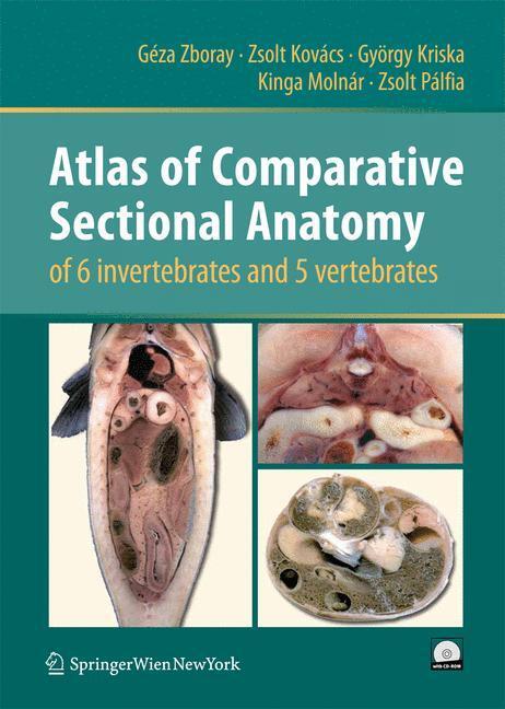 Cover: 9783211997628 | Atlas of Comparative Sectional Anatomy of 6 invertebrates and 5...