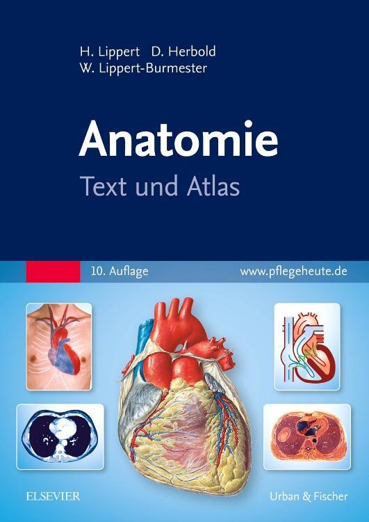 Cover: 9783437261831 | Anatomie | Text und Atlas | Herbert Lippert (u. a.) | Taschenbuch