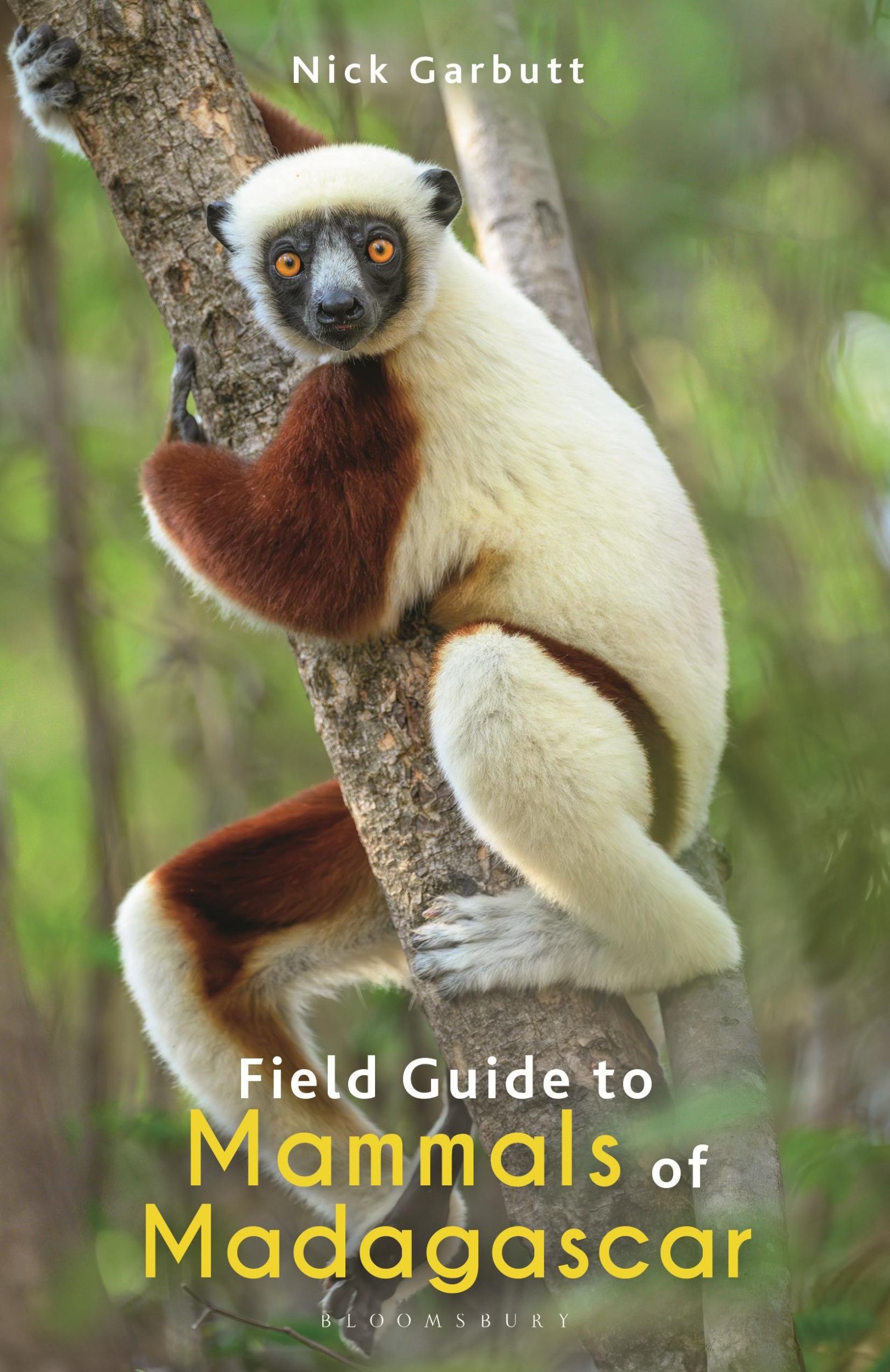 Cover: 9781472991676 | Field Guide to Mammals of Madagascar | Nick Garbutt | Taschenbuch