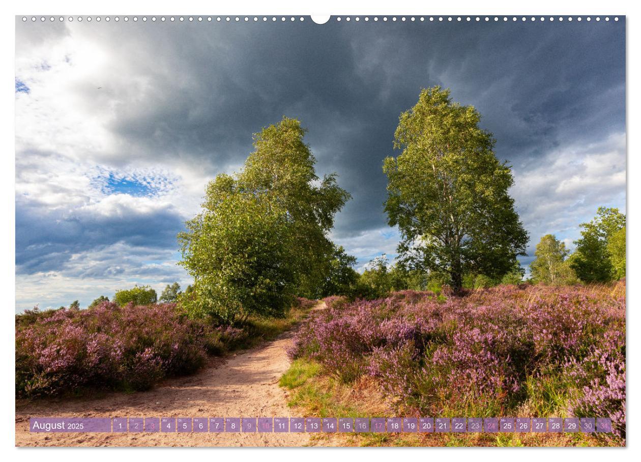 Bild: 9783383831324 | Im Blütenrausch der Lüneburger Heide (Wandkalender 2025 DIN A2...