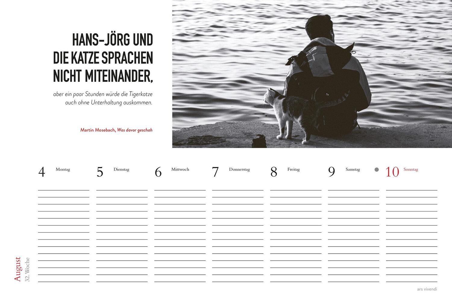 Bild: 9783747205716 | Tischkalender Katzen 2025 | Tischkalender | ars vivendi verlag | 53 S.