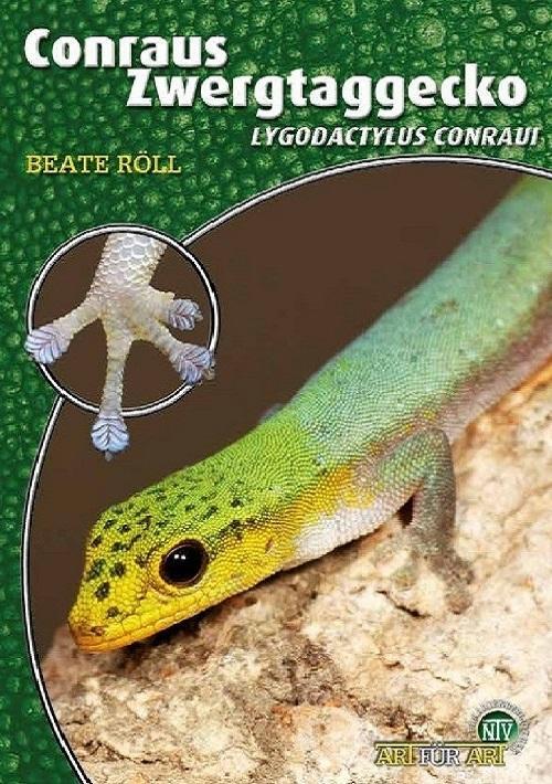 Cover: 9783866594784 | Conraus Zwergtaggecko | Lygodactylus conraui | Beate Röll | Buch