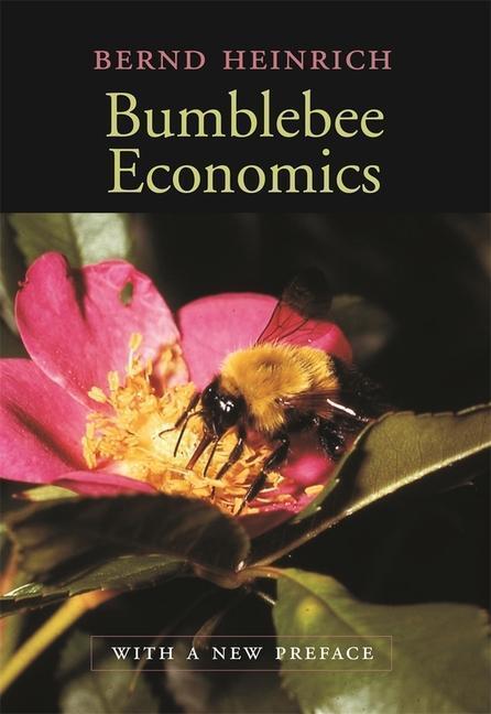 Cover: 9780674016392 | Bumblebee Economics | With a New Preface | Bernd Heinrich | Buch