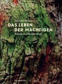 Cover: 9783957571656 | Das Leben der Mächtigen | Reisen zu alten Bäumen | Zora Del Buono