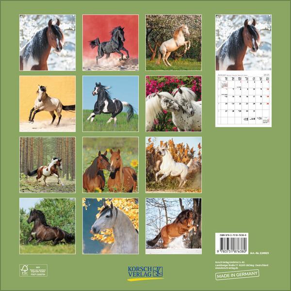 Bild: 9783731876380 | Horses 2025 | Verlag Korsch | Kalender | 13 S. | Deutsch | 2025