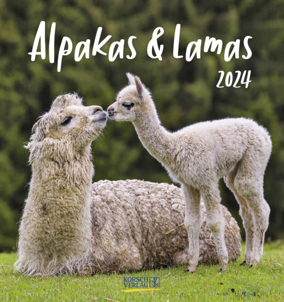 Cover: 9783731869566 | Alpakas und Lamas 2024 | Korsch Verlag | Kalender | Spiralbindung