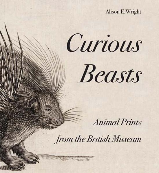 Cover: 9780714126883 | Curious Beasts | Animal Prints from the British Museum | Wright | Buch